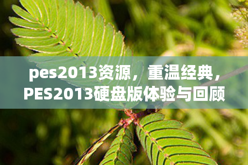 pes2013资源,重温经典,PES2013硬盘版体验与回顾 pes2013资源,重温经典,PES2013硬盘版体验与回顾