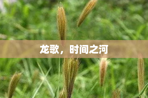 龙歌，时间之河