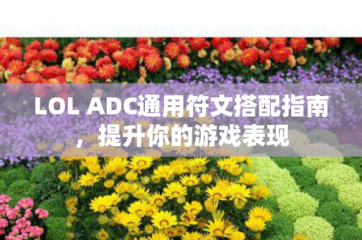 LOL ADC通用符文搭配指南，提升你的游戏表现