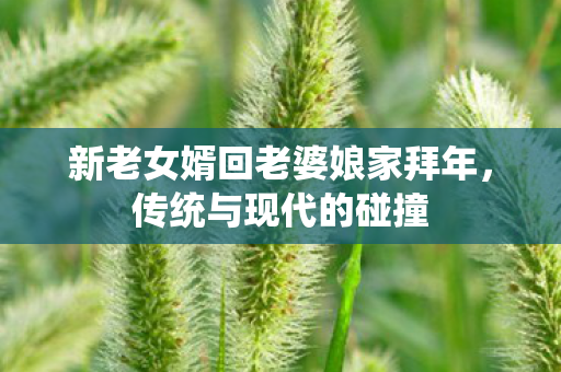 新老女婿回老婆娘家拜年，传统与现代的碰撞