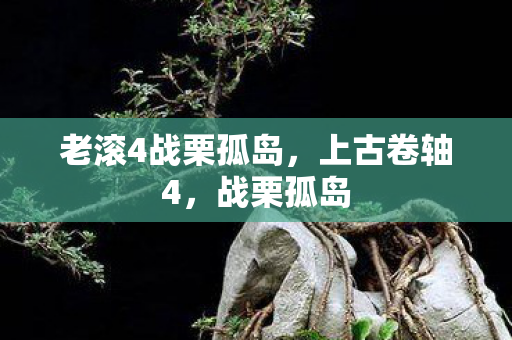 老滚4战栗孤岛，上古卷轴4，战栗孤岛