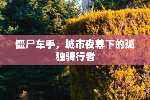 僵尸车手,城市夜幕下的孤独骑行者 僵尸车手,城市夜幕下的孤独骑行者