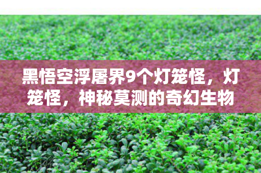 黑悟空浮屠界9个灯笼怪，灯笼怪，神秘莫测的奇幻生物