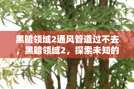 黑暗领域2通风管道过不去，黑暗领域2，探索未知的深渊