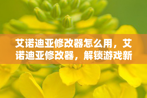 艾诺迪亚修改器怎么用，艾诺迪亚修改器，解锁游戏新境界的利器