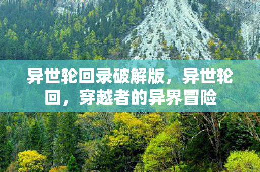 异世轮回录破解版,异世轮回,穿越者的异界冒险 异世轮回录破解版,异世轮回,穿越者的异界冒险