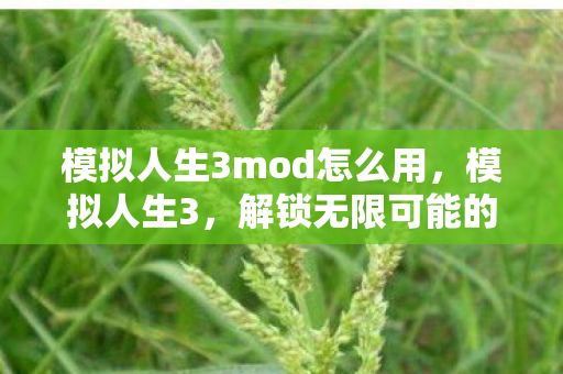模拟人生3mod怎么用，模拟人生3，解锁无限可能的MOD使用指南