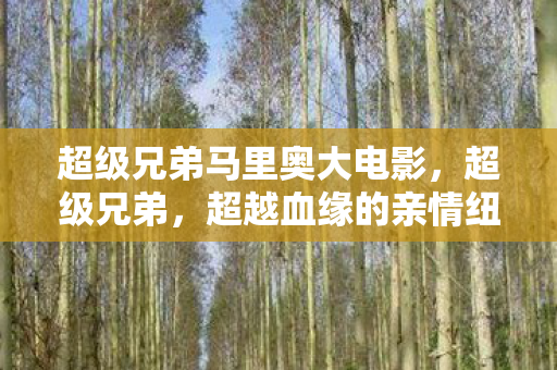 超级兄弟马里奥大电影，超级兄弟，超越血缘的亲情纽带