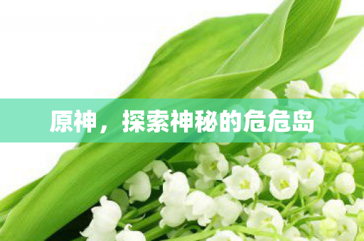 原神，探索神秘的危危岛