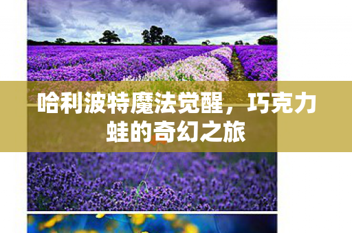 哈利波特魔法觉醒，巧克力蛙的奇幻之旅