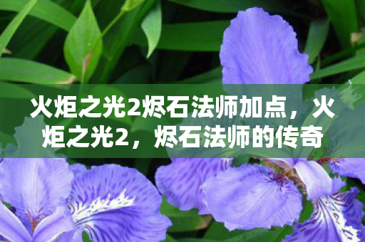 火炬之光2烬石法师加点，火炬之光2，烬石法师的传奇之旅