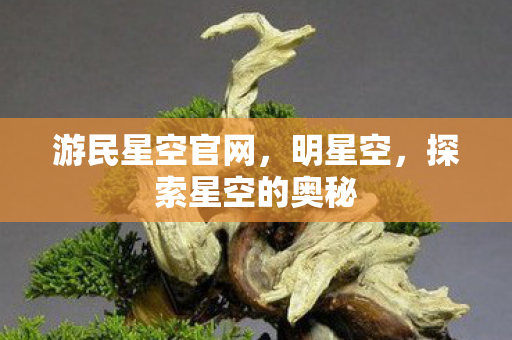 游民星空官网，明星空，探索星空的奥秘