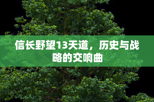 信长野望13天道，历史与战略的交响曲