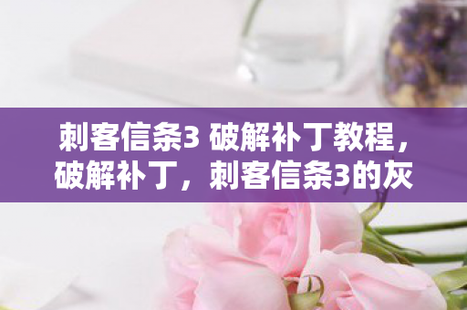 刺客信条3 破解补丁教程,破解补丁,刺客信条3的灰色地带 刺客信条3 破解补丁教程,破解补丁,刺客信条3的灰色地带