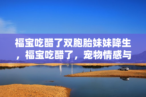 福宝吃醋了双胞胎妹妹降生，福宝吃醋了，宠物情感与人类互动的奇妙瞬间