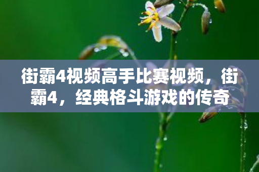 街霸4视频高手比赛视频，街霸4，经典格斗游戏的传奇再现