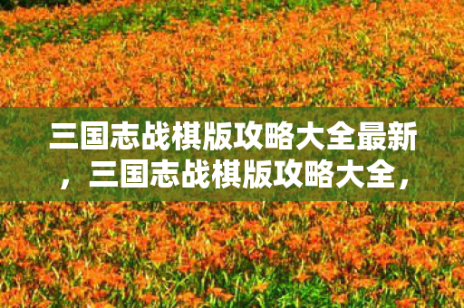三国志战棋版攻略大全最新，三国志战棋版攻略大全，策略与智慧的碰撞