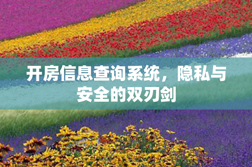 开房信息查询系统，隐私与安全的双刃剑