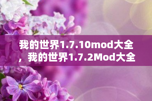探索无限可能的经典版本图片