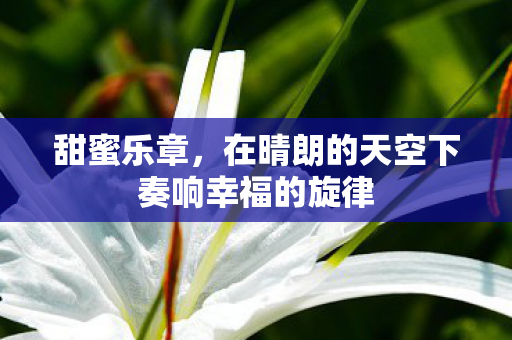 甜蜜乐章，在晴朗的天空下奏响幸福的旋律