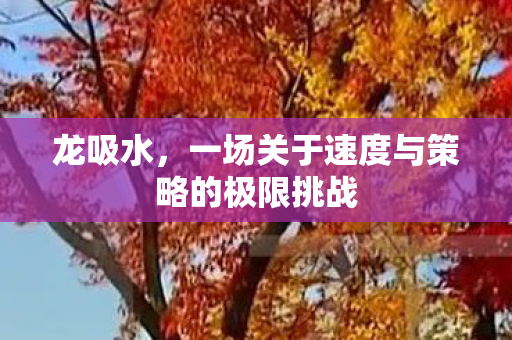 龙吸水，一场关于速度与策略的极限挑战