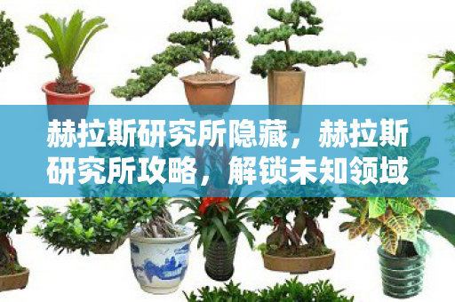 解锁未知领域的钥匙图片