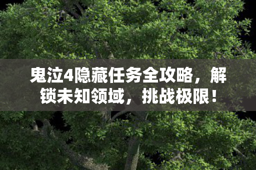 鬼泣4隐藏任务全攻略，解锁未知领域，挑战极限！