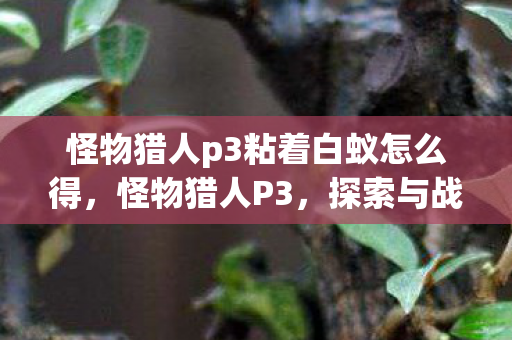 怪物猎人p3粘着白蚁怎么得，怪物猎人P3，探索与战斗的奇妙之旅