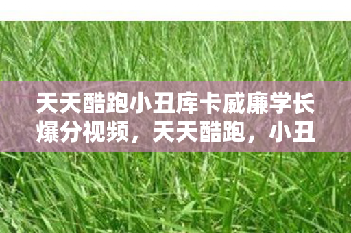 天天酷跑小丑库卡威廉学长爆分视频，天天酷跑，小丑库卡的奇妙冒险