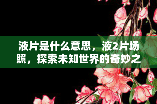 液片是什么意思,液2片场照,探索未知世界的奇妙之旅 液片是什么意思,液2片场照,探索未知世界的奇妙之旅