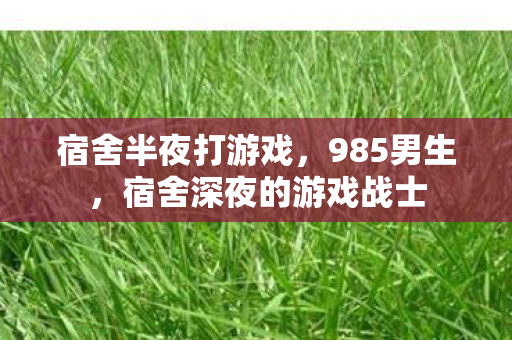 宿舍半夜打游戏,985男生,宿舍深夜的游戏战士 宿舍半夜打游戏,985男生,宿舍深夜的游戏战士