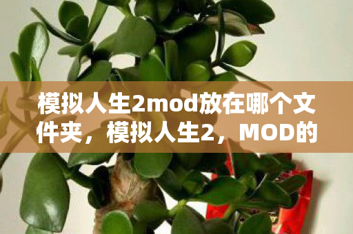 模拟人生2mod放在哪个文件夹，模拟人生2，MOD的无限可能