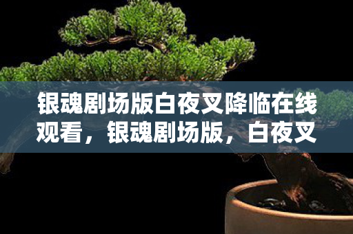银魂剧场版白夜叉降临在线观看，银魂剧场版，白夜叉降临的震撼与感动