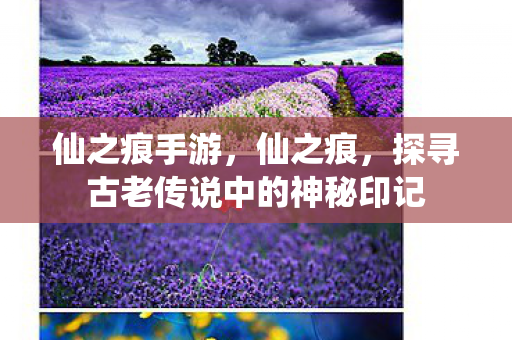 仙之痕手游，仙之痕，探寻古老传说中的神秘印记