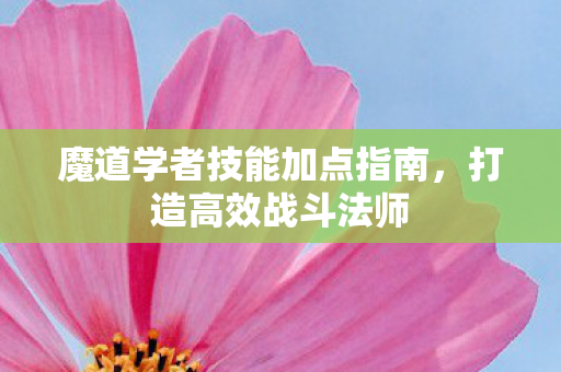 魔道学者技能加点指南，打造高效战斗法师