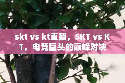 skt vs kt直播，SKT vs KT，电竞巨头的巅峰对决