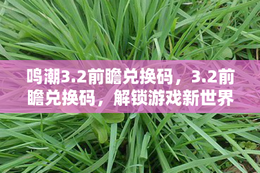 鸣潮3.2前瞻兑换码，3.2前瞻兑换码，解锁游戏新世界的钥匙
