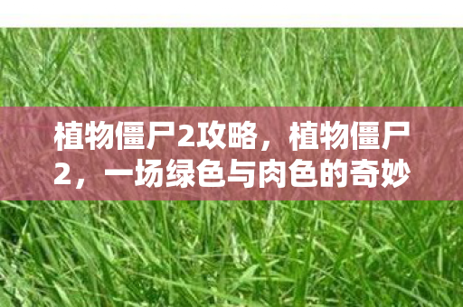 植物僵尸2攻略，植物僵尸2，一场绿色与肉色的奇妙对决