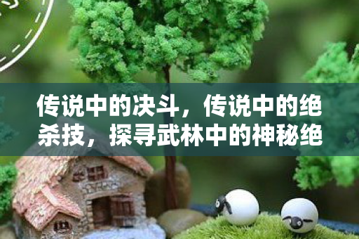 传说中的决斗,传说中的绝杀技,探寻武林中的神秘绝技 传说中的决斗,传说中的绝杀技,探寻武林中的神秘绝技