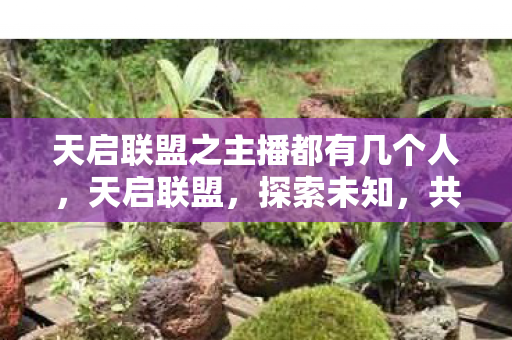 天启联盟之主播都有几个人，天启联盟，探索未知，共筑未来