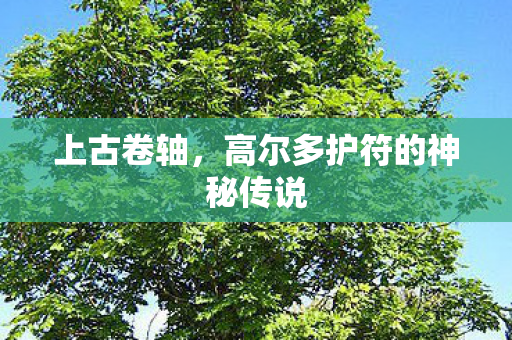 上古卷轴，高尔多护符的神秘传说