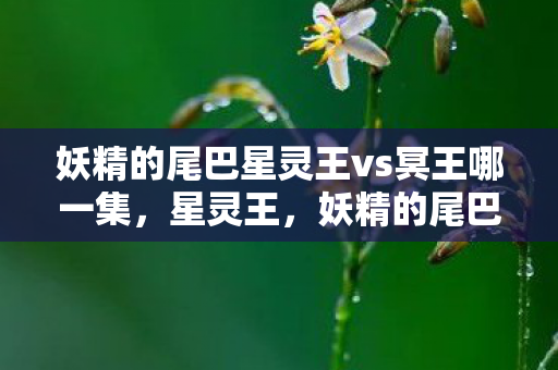 妖精的尾巴星灵王vs冥王哪一集，星灵王，妖精的尾巴中的王者之影