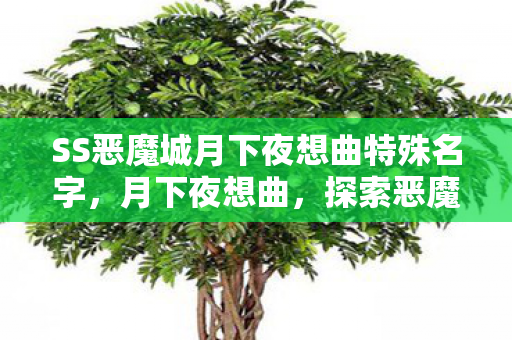 SS恶魔城月下夜想曲特殊名字，月下夜想曲，探索恶魔城的不朽传奇