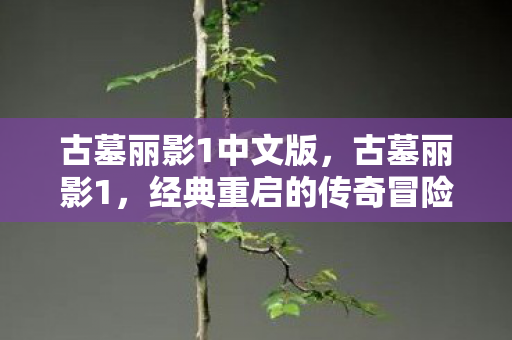 古墓丽影1中文版，古墓丽影1，经典重启的传奇冒险