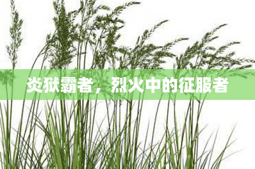 炎狱霸者，烈火中的征服者