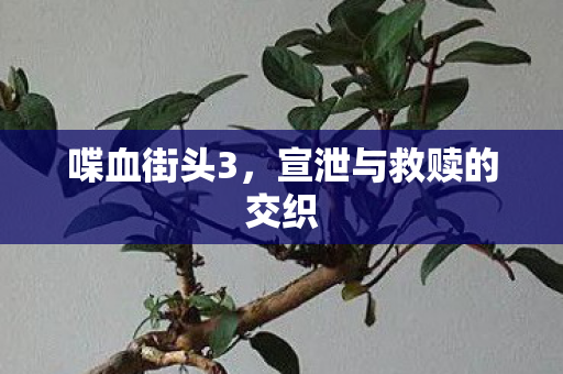 喋血街头3，宣泄与救赎的交织