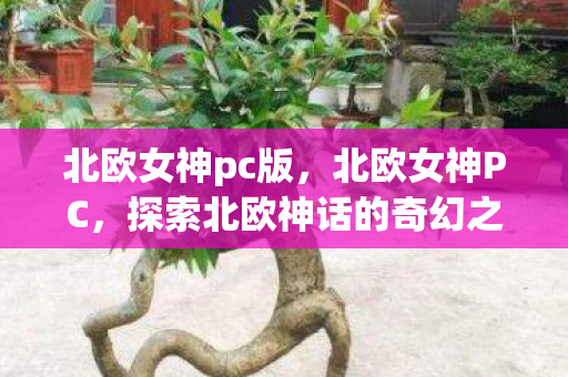 北欧女神pc版，北欧女神PC，探索北欧神话的奇幻之旅