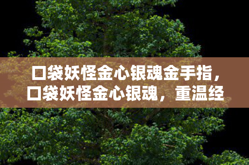 口袋妖怪金心银魂金手指图片