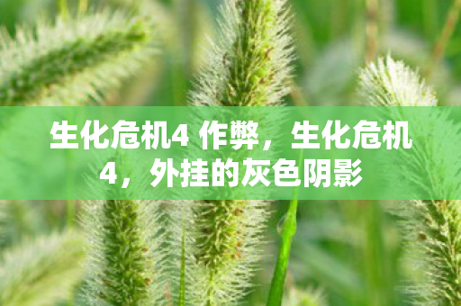 生化危机4 作弊，生化危机4，外挂的灰色阴影