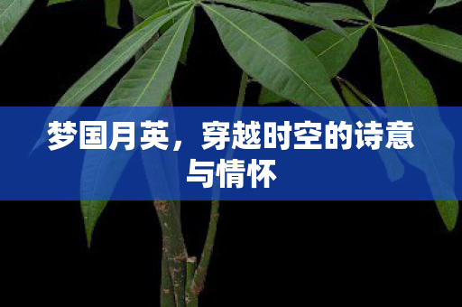 梦国月英，穿越时空的诗意与情怀